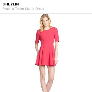 Greylin Fuchsia Tatum Skater Dress