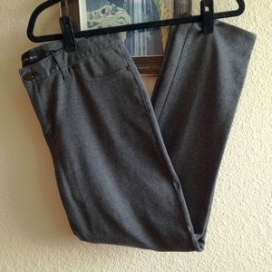 CKJ Ponte Pants