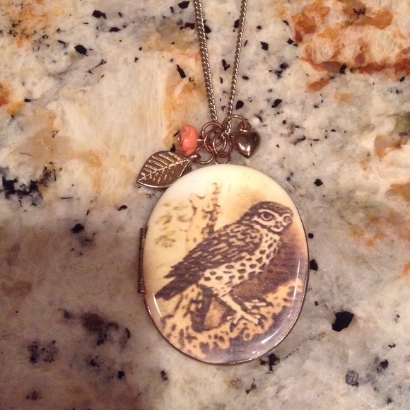 SOLD.  Owl locket necklace with long chain