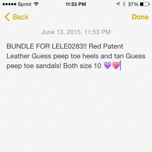 Bundle for Lele0283