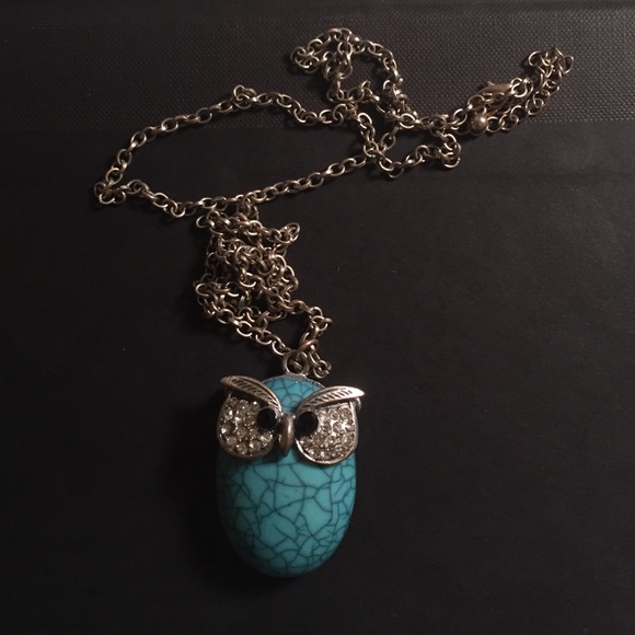 PacSun Accessories - Turquoise owl necklace!