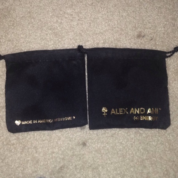Alex and Ani dust bag