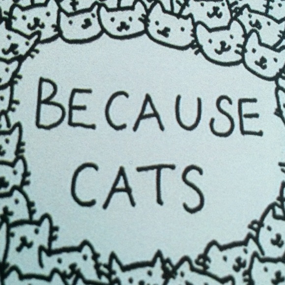 Because Cats IPhone 5 Cats - Picture 4 of 4