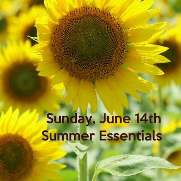 Summer Essentials Party Sunday, June 14th - Picture 2 of 2