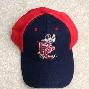 Baseball Hat Manatees