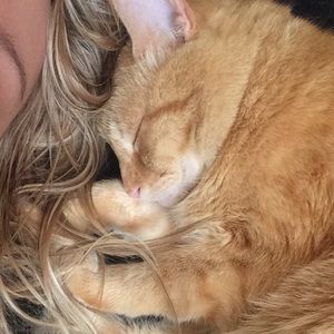 Bundle for personwhoisfab!