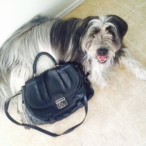 Authentic Celine Purse/handbag with buckle