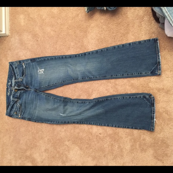 American eagle - Picture 2 of 2