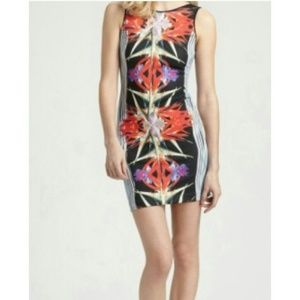 Clover Canyon Neoprene Dress