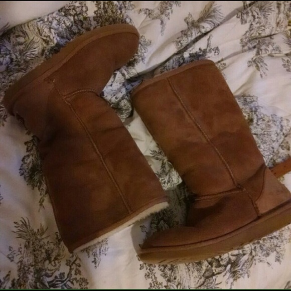 Tall chestnut UGGS