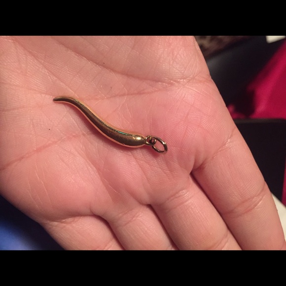 Jewelry - Italian horn charm