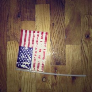 One plastic flag from naples florida