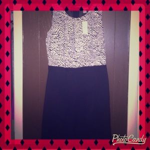 NWT Dress by loft. Size 6.
