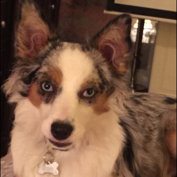 Lucky is 6 months old!