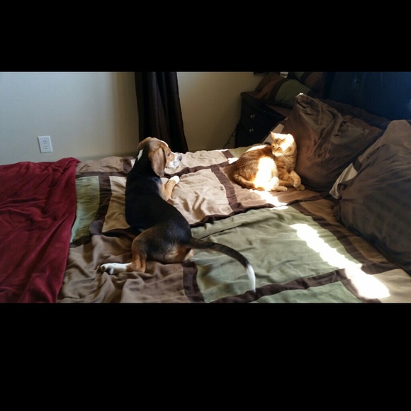 PLEASEEE READDDDD!!!!!! - Picture 2 of 3