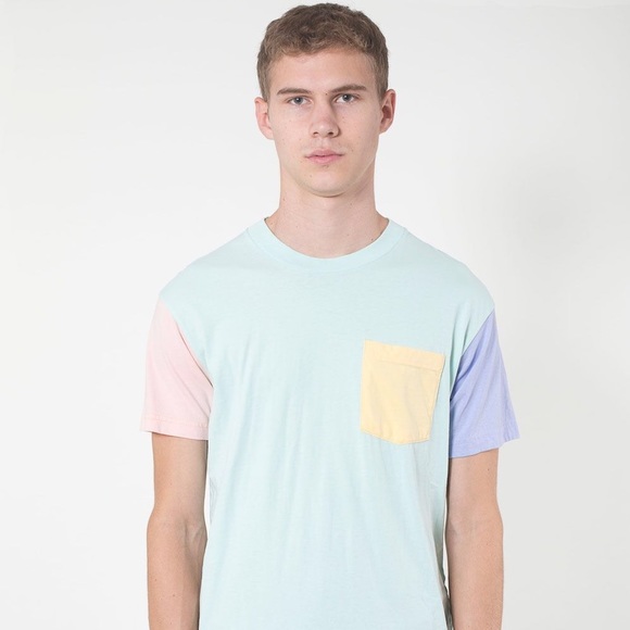 American Apparel Color Block Tee