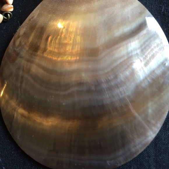 Seashell Necklace - Picture 2 of 4