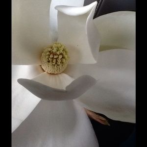 🌼BUNDLE 4 @apennington1🌼