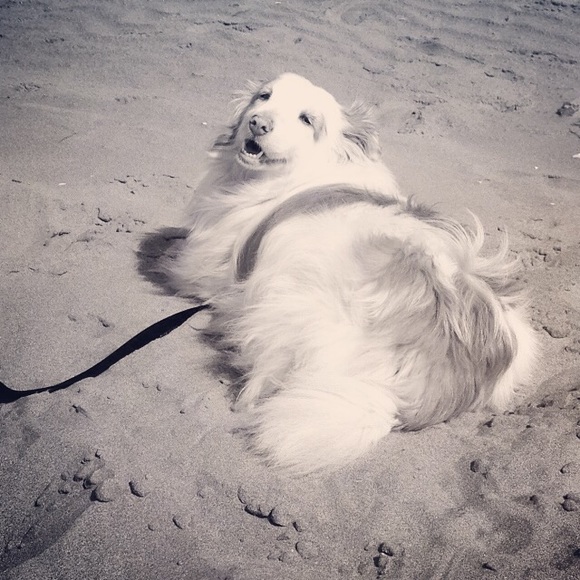 🍀Meet Your Seller/Buyer🍀 - Picture 3 of 4