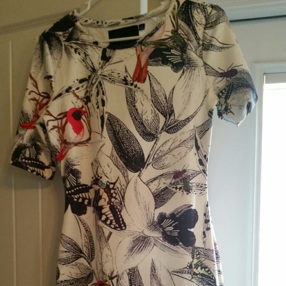 Midi dress, bird print, NWOT.