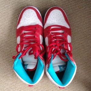 Nike Dunk High Pro SB size 10.5