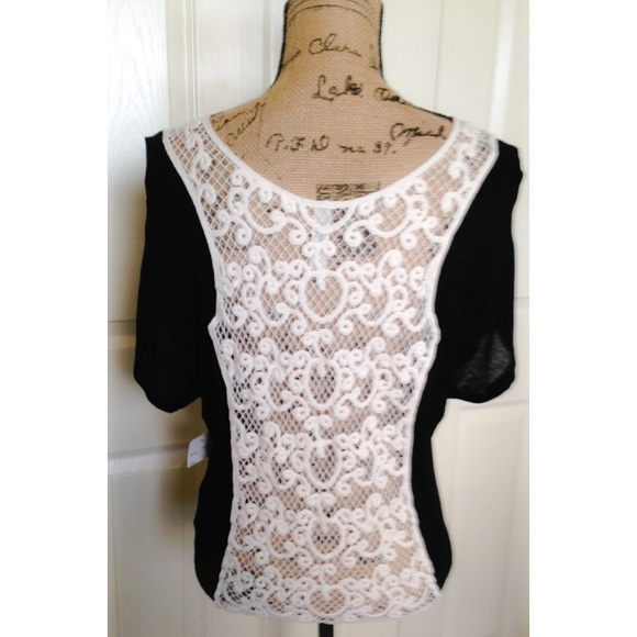 🎉Host Pick🎉 Black Sheer Top w/Lacy Back - Picture 3 of 3