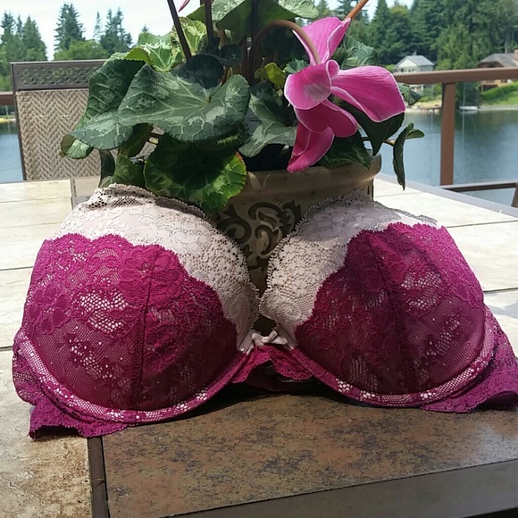 Dream Angels Plunge Purple & Pink Bra