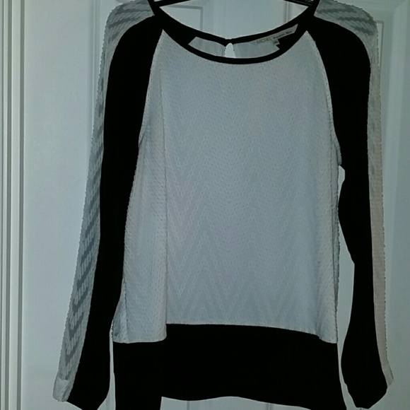 Shirt - Picture 3 of 4