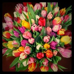 Closing,accessory, shoes and makeup