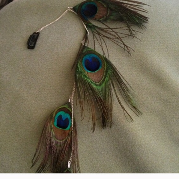Peacock feather clip
