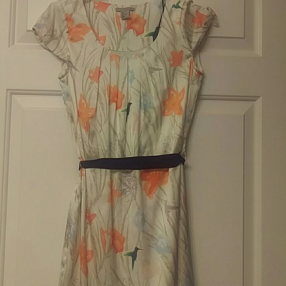 Clothing - Picture 2 of 3