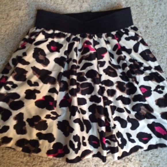 Cheetah Print Skirt