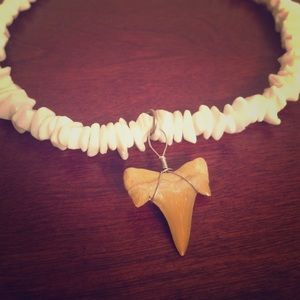 shark tooth necklace