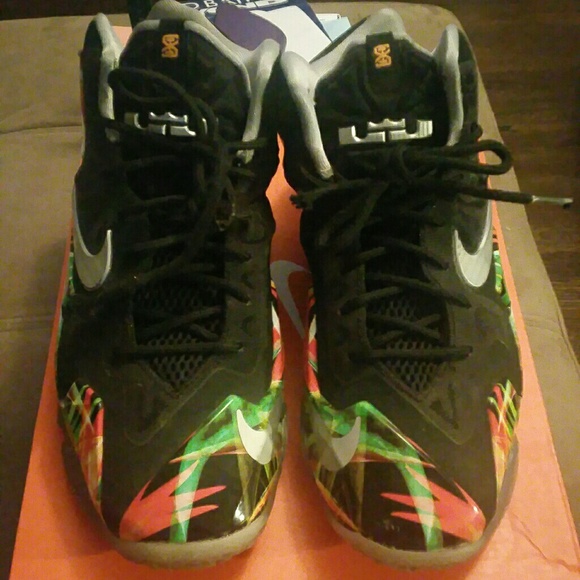 Lebron XI Everglades