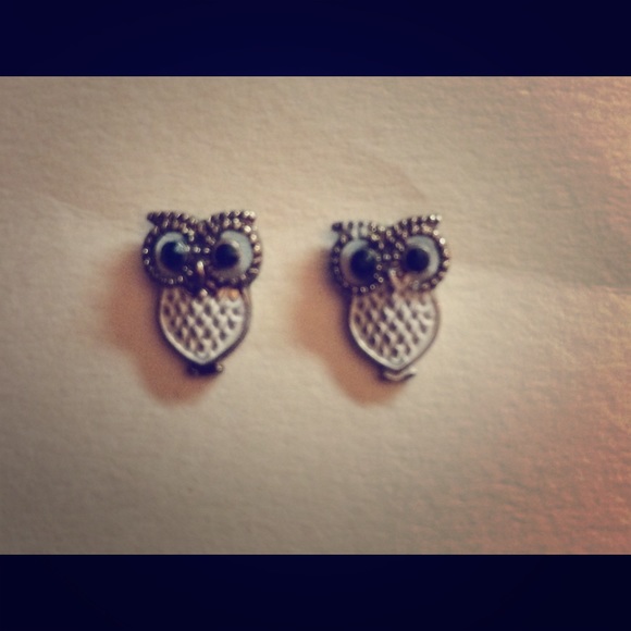 Owl Earrings