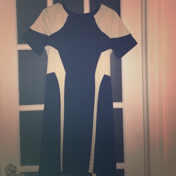 W118 by Walter Baker "Sharon" shift dress