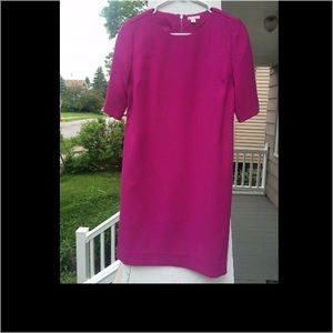 GAP shift dress with exposed zipper