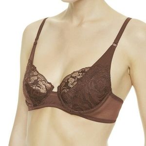 Gorgeous Sheer Burgundy Bra