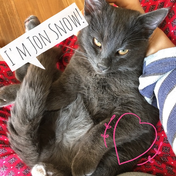 Meet your buyer, and her cat! Meow! - Picture 5 of 6