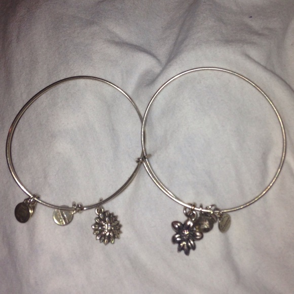 alex and ani's bundle with lokai