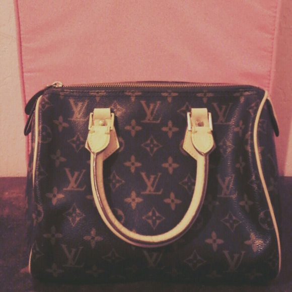 Louis Vuitton Purse