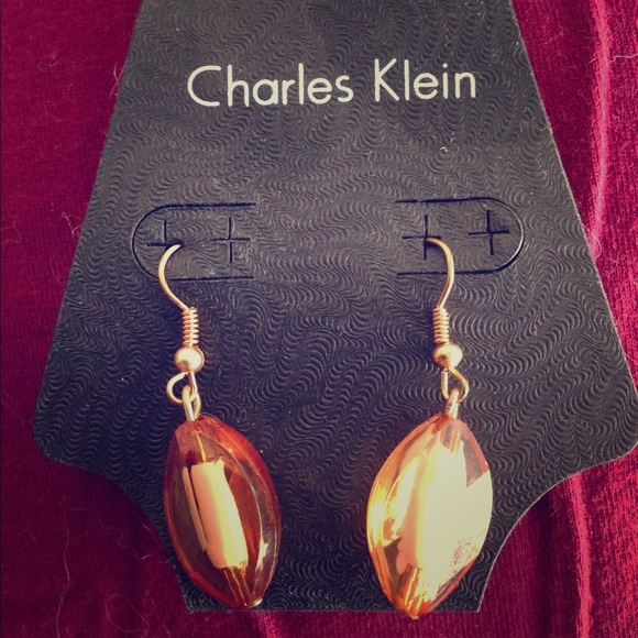 Charles Klein Brown/Gold Earrings