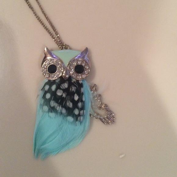 NWT Accessorize Owl long chain necklace