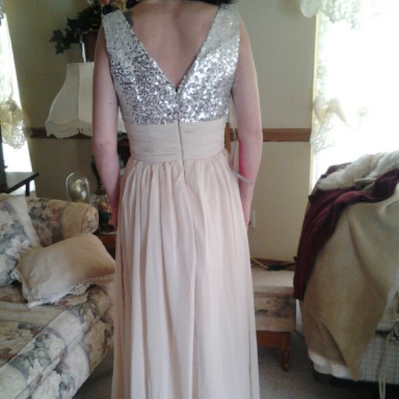 Champagne sequin dress - Picture 3 of 4