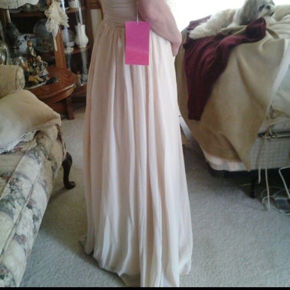 Champagne sequin dress - Picture 4 of 4