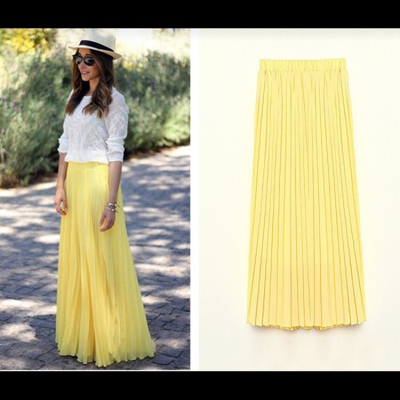Dresses & Skirts - Beautiful Long Chiffon Pleated Maxi Skirt