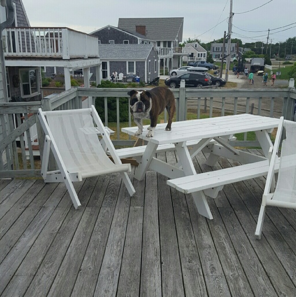 Meet THE real Brody19 aka Laurie Who now has a puppy called Romeo 🐾🐾 - Picture 3 of 4