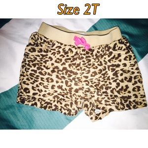 Leopard Shorts