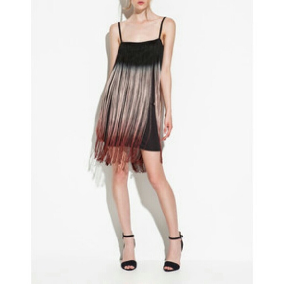 Zara fringe dress