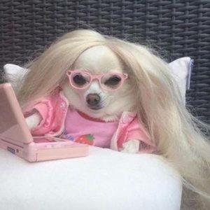 CLOSET CLEAROUT PLS READ